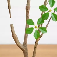 Nearly Natural 5ft Dogwood Indoor Artificial Tree