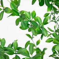 Nearly Natural 6ft Shady Lady Black Olive Indoor Artificial Tree