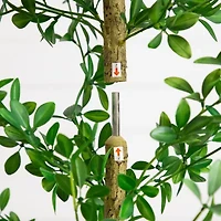 Nearly Natural 6ft Shady Lady Black Olive Indoor Artificial Tree