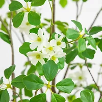 Nearly Natural 5ft Dogwood Indoor Artificial Tree