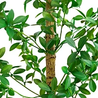 Nearly Natural 4ft Shady Lady Black Olive Indoor Artificial Tree