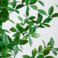 Nearly Natural 4ft Shady Lady Black Olive Indoor Artificial Tree