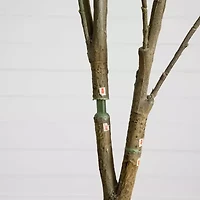 Nearly Natural 7ft Dogwood Indoor Artificial Tree