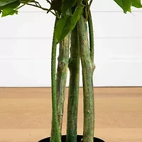 Nearly Natural 4ft Ficus Indoor Outdoor Artificial Tree