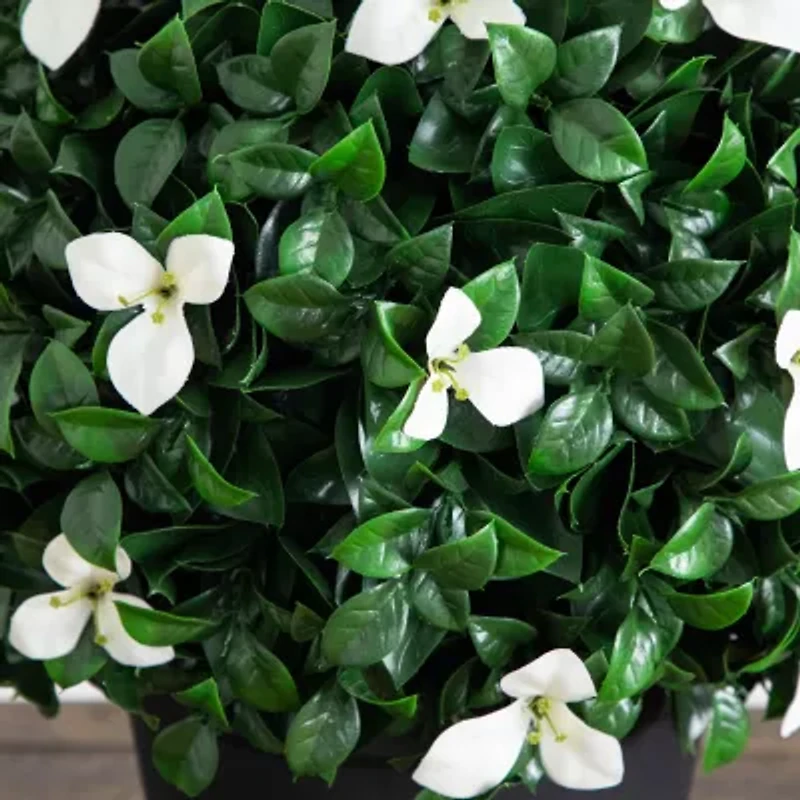 Nearly Natural 15" Boxwood Gardenia Artificial Plant