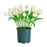 Nearly Natural 2ft Tulip Artificial Plant