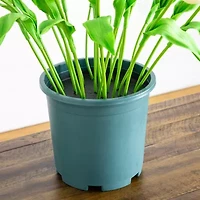 Nearly Natural 2ft Tulip Artificial Plant