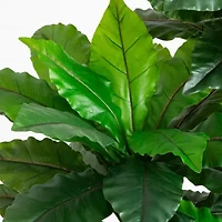 Nearly Natural 6ft Bird Nest Fern Indoor Outdoor Artificial Tree