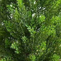 Nearly Natural 45" Cedar White Tower Indoor Outdoor Artificial Tree