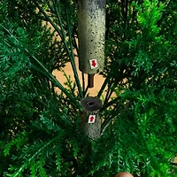 Nearly Natural 5ft Cypress Tower Indoor Outdoor Artificial Tree
