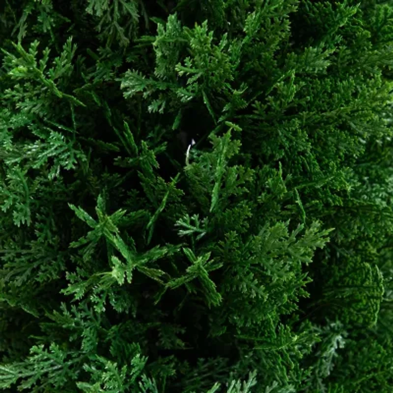 Nearly Natural 2-pc. 4ft Cedar Integrated Ground Stake Artificial Plant