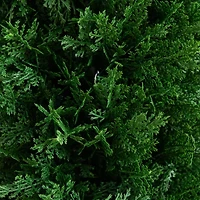 Nearly Natural 2-pc. 4ft Cedar Integrated Ground Stake Artificial Plant