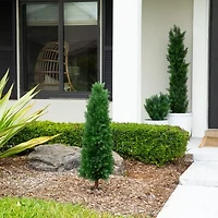 Nearly Natural 2-pc. 4ft Cedar Integrated Ground Stake Artificial Plant