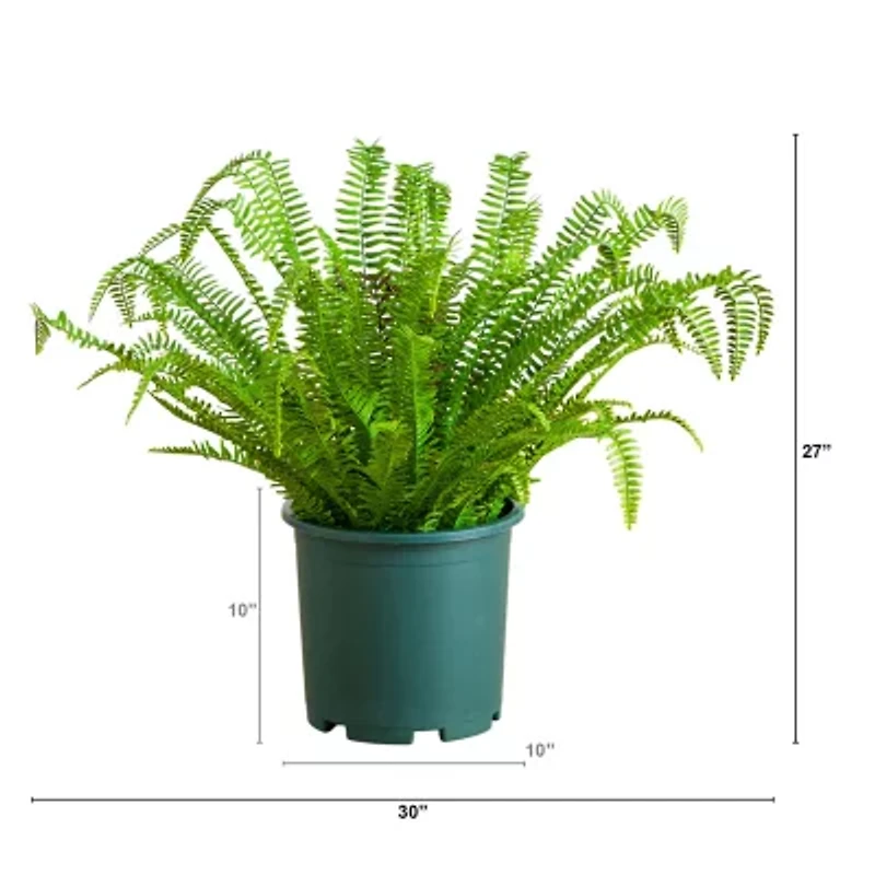 Nearly Natural 27" Boston Fern Artificial Plant