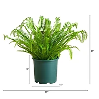 Nearly Natural 27" Boston Fern Artificial Plant