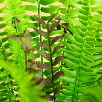 Nearly Natural 27" Boston Fern Artificial Plant