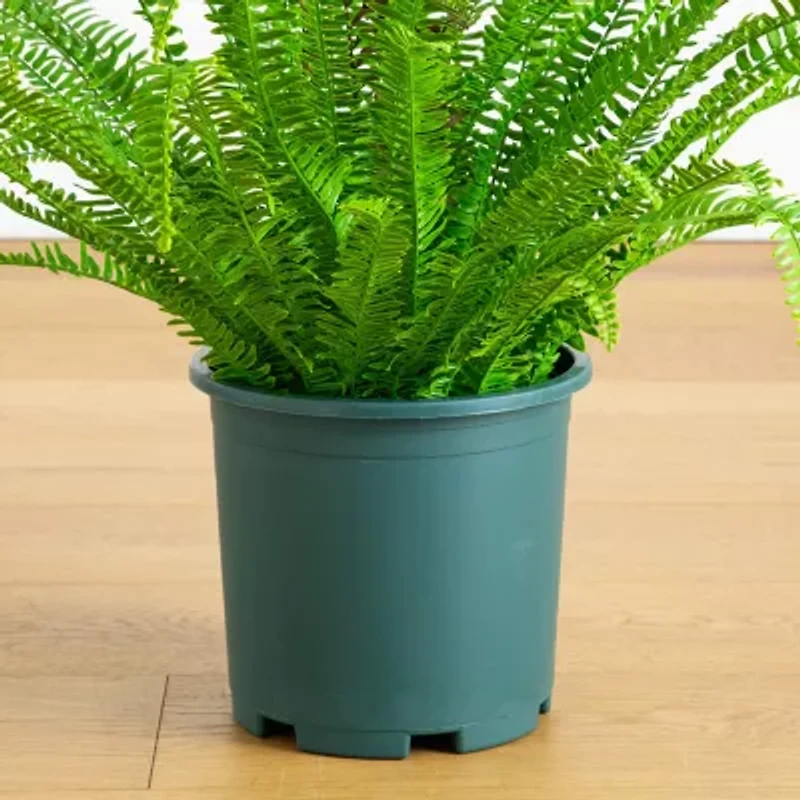 Nearly Natural 27" Boston Fern Artificial Plant
