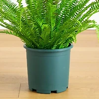 Nearly Natural 27" Boston Fern Artificial Plant