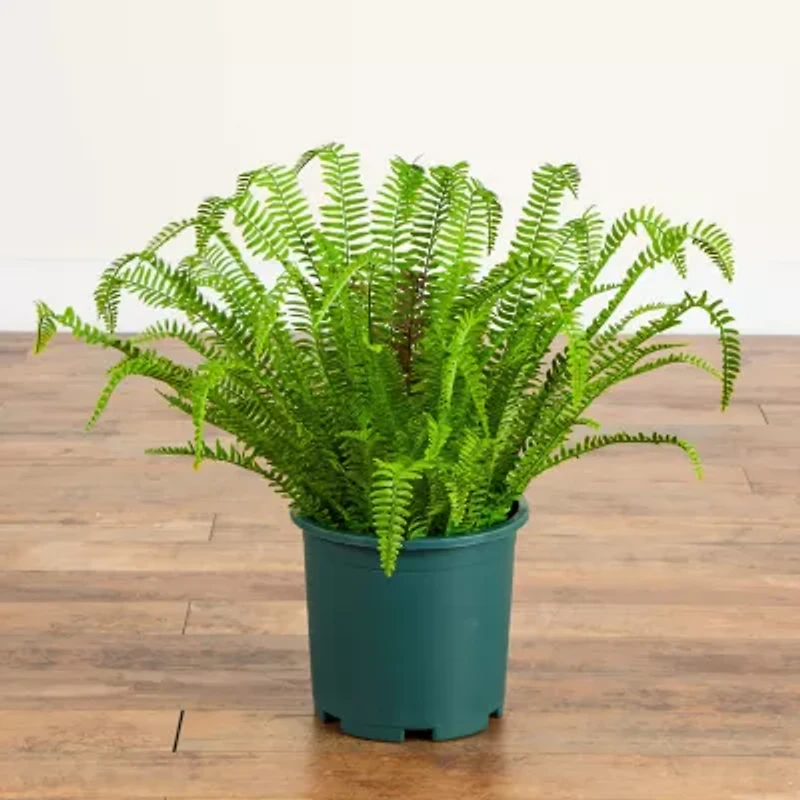 Nearly Natural 27" Boston Fern Artificial Plant