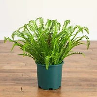 Nearly Natural 27" Boston Fern Artificial Plant