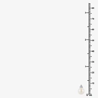 Limited Quantities! Champagne Cultured Freshwater Pearl Sterling Silver 12mm Stud Earrings