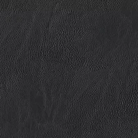 Homewear Morgan Faux Leather Placemat
