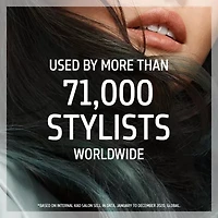 Goldwell Dualsenses Just Smooth Taming Shampoo 33.8 oz.