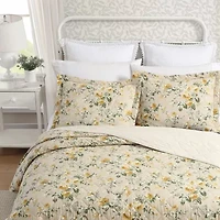 Laura Ashley Roses Quilt Set