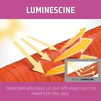 Goldwell Dualsenses Color Brilliance Shampoo 33.8 oz.