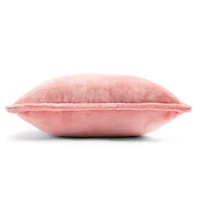 Home Expressions Velvet Plush 2-pack Square Throw Pillow