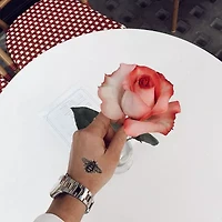 Inked By Dani Tattoo Kit