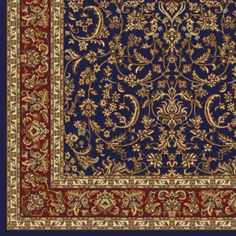 Noble Classic Traditional Oriental Area Rug
