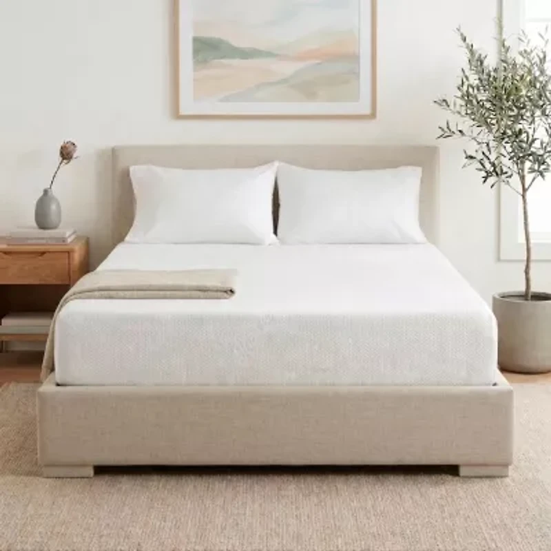 Primo Divine 8" Medium/Firm Gel Memory Foam Tight Top - Mattress a Box