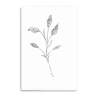 Floral Sketch II Giclee Canvas Art