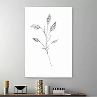 Floral Sketch II Giclee Canvas Art