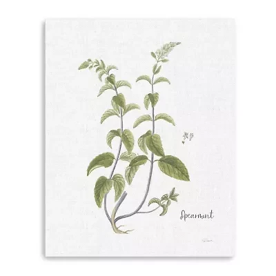 Cottage Herbs IV Giclee Canvas Art