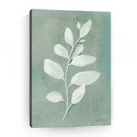 Lumaprints Sage Leaves I Giclee Canvas Art