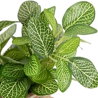 Northlight 8in Foliage In Ceramic Pot Artificial Plant