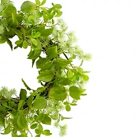 Northlight 18in Jujube Floral Foliage Wreath