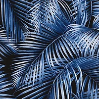 Nicole Miller Pal'P Beach Towel