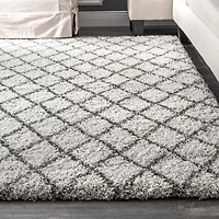 nuLoom Lenita Trellis Shaggy Rectangular Rug