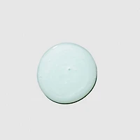 Paul Mitchell Tea Tree Special Travel Shampoo 2.5 oz.