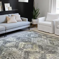 Loloi Skye Indoor Rectangular Accent Rug