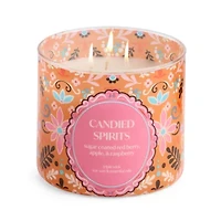 Distant Lands Candied Spirits 3-Wick Scented Jar Candle