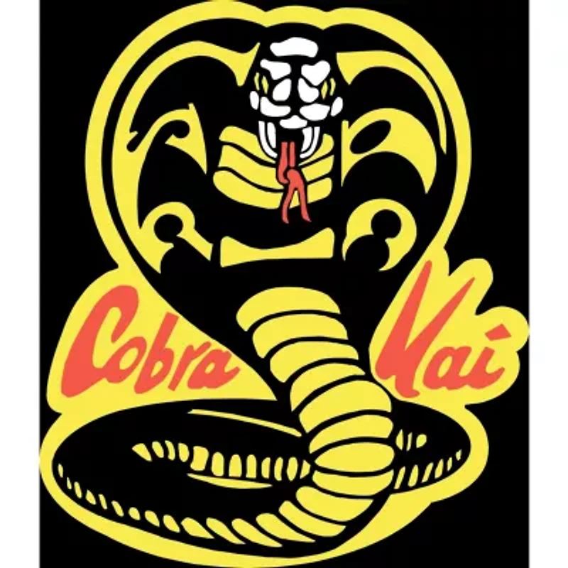 Novelty Mens Crew Neck Short Sleeve Relaxed Fit Cobra Kai Graphic T-Shirt
