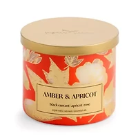 Distant Lands Amber And Apricot 3-Wick Scented Jar Candle