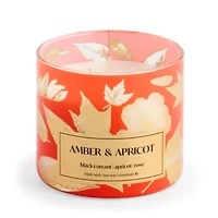 Distant Lands Amber And Apricot 3-Wick Scented Jar Candle