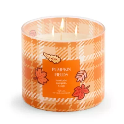 Distant Lands Pumpkin Fields 3-Wick Scented Jar Candle