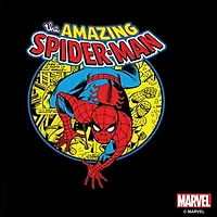 Disney Collection Spiderman Urban Hero 17 Oz Stainless Steel Bottle