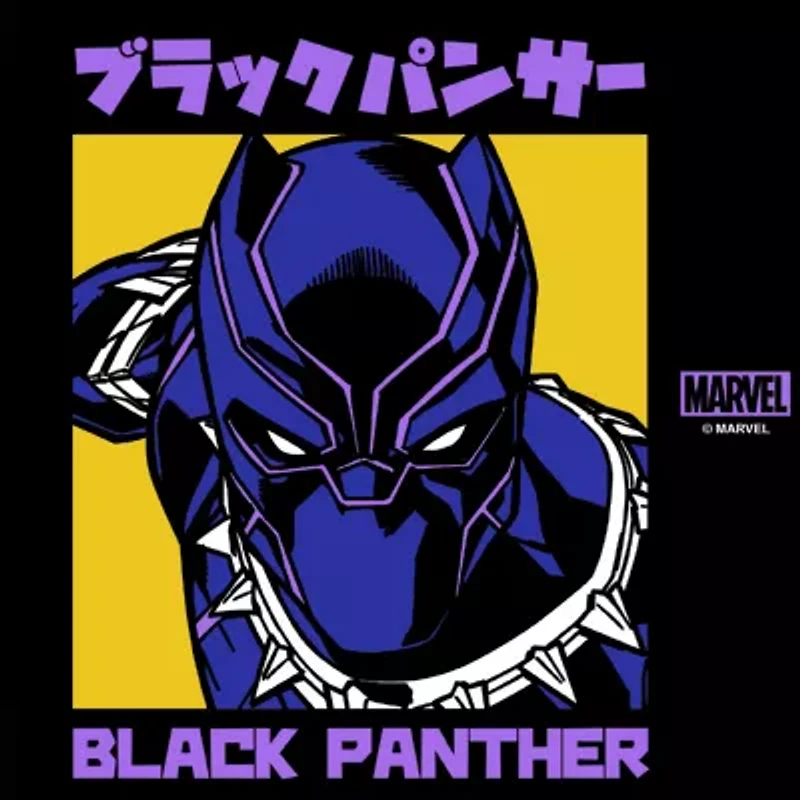 Disney Collection Black Panther Kanji 17 Oz Stainless Steel Bottle